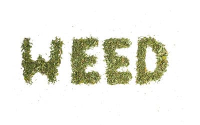 Weed Terms That Are Helpful To Know